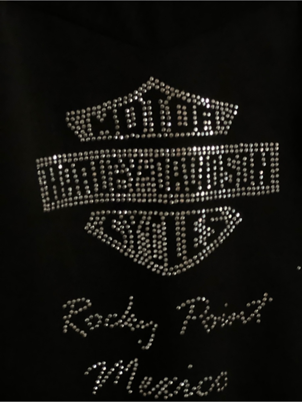 Black Sleeveless Mesh Yoke Top with Rhinestone Harley Davidson Logo - Picture 3 of 5
